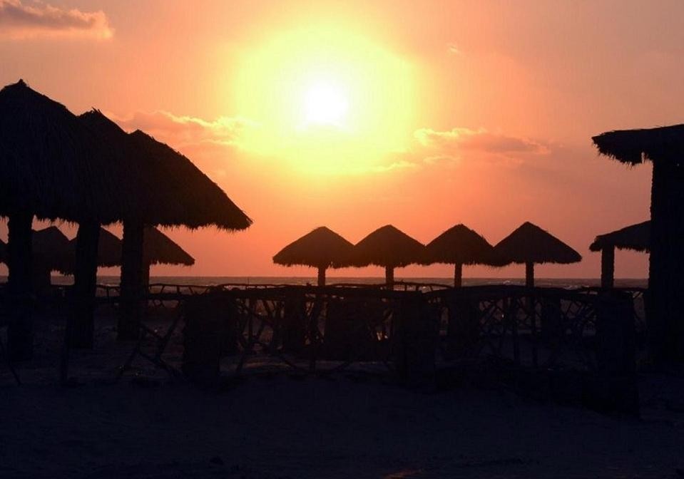 شاطئ النخيل برأس البر.jpg