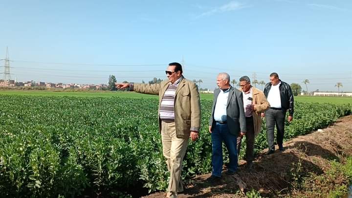 دمياط فى سطور-توافر الإنتاج الزراعي